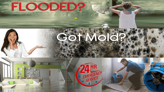 Water Damage Restoration, Cleanup Orange County