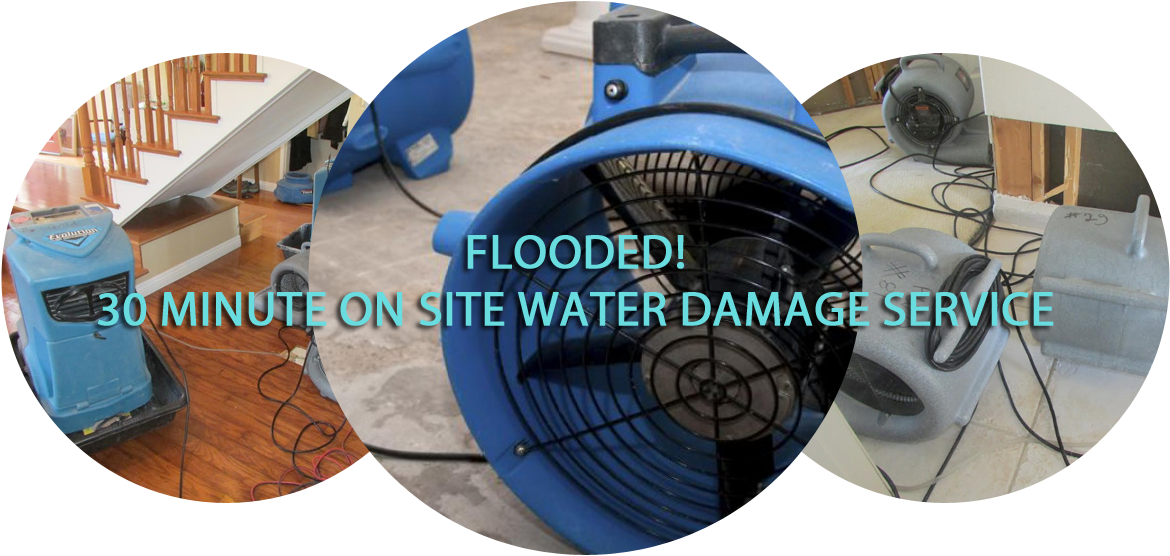 Water Damage Restoration, Cleanup Orange County