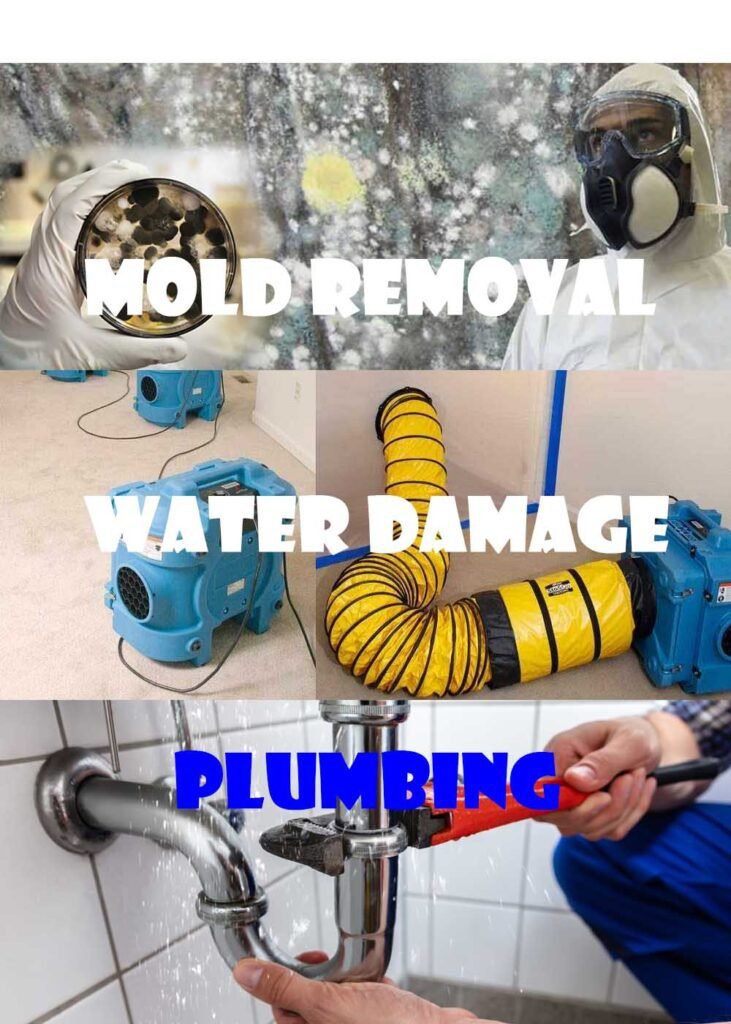 GreenMaster-Cleaning-Restoration-Plumbing-003