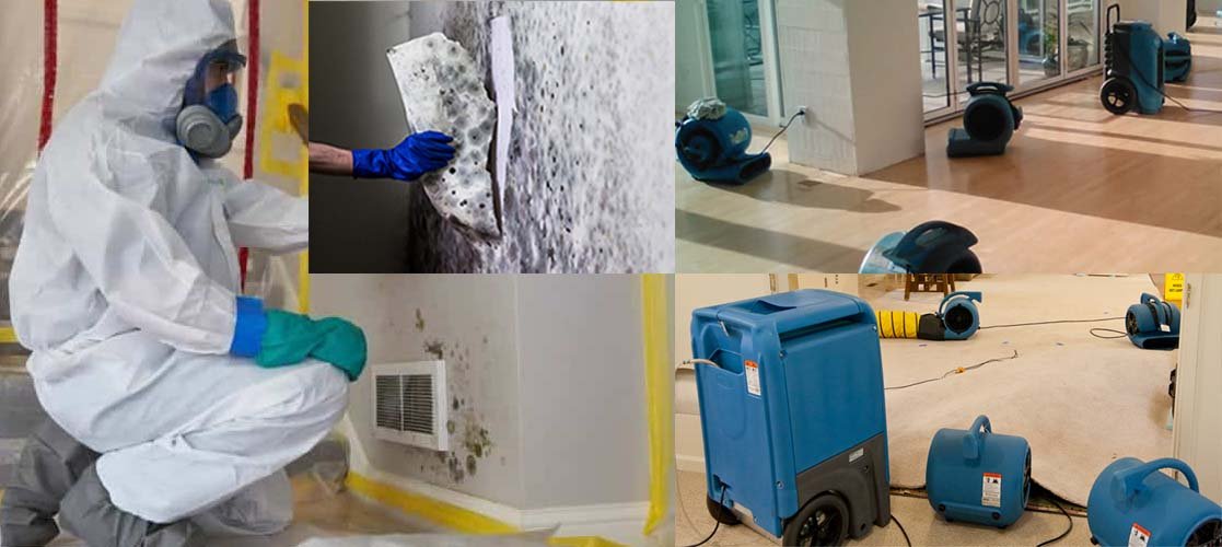 Zero Mold, Moldman Restoration Master Service- Water Damage Restoration Master Service ServPro San Diego & Orange County, Mold Removal Moldman in San Diego County